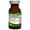 Praziquantel Injection 10ml